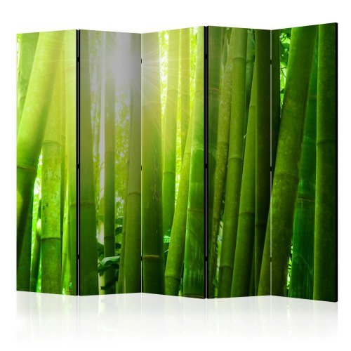 Paraván Sun and bamboo Dekorhome - ROZMĚR: 225x172 cm (5-dílný)
