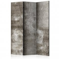 Paraván - Cold Concrete [Room Dividers]