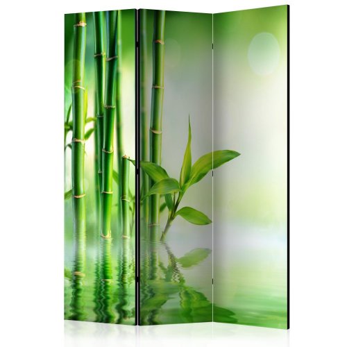 Paraván Green Bamboo Dekorhome - ROZMĚR: 135x172 cm (3-dílný)