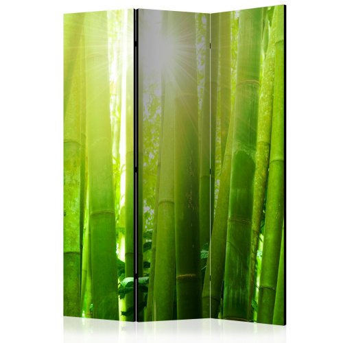 Paraván Sun and bamboo Dekorhome - ROZMĚR: 135x172 cm (3-dílný)