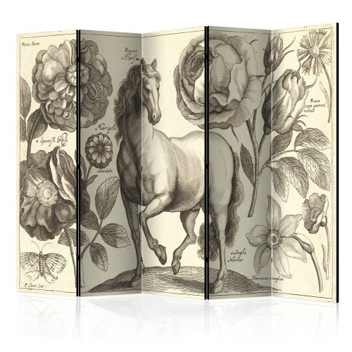 Paraván Horse Dekorhome - ROZMĚR: 135x172 cm (3-dílný)