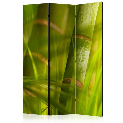Paraván Bamboo - nature zen Dekorhome - ROZMĚR: 135x172 cm (3-dílný)