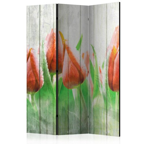 Paraván Red tulips on wood Dekorhome - ROZMĚR: 135x172 cm (3-dílný)