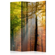 Paraván - Forest Colours [Room Dividers]