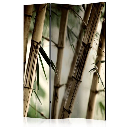 Paraván Fog and bamboo forest Dekorhome - ROZMĚR: 135x172 cm (3-dílný)