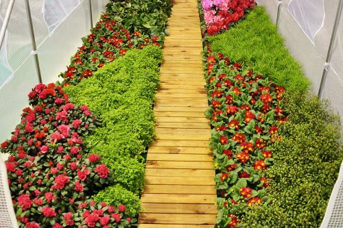 Záhradný fóliovník HG 2x3m - BAREVNÁ VARIANTA: Zelená