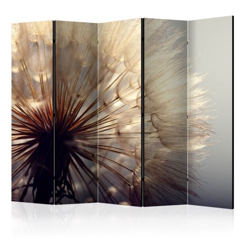 Paraván Dandelion Kiss Dekorhome - ROZMER: 225x172 cm (5-dielny)