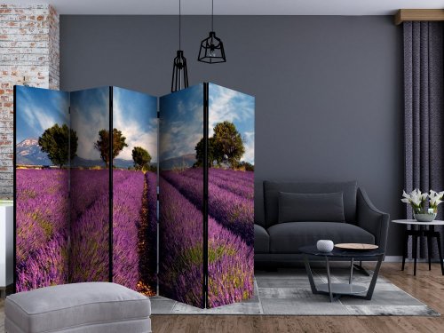 Paraván Lavender field in Provence, France Dekorhome - ROZMER: 135x172 cm (3-dielny)
