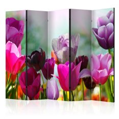 Paraván - Beautiful Tulips II [Room Dividers]
