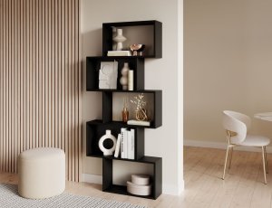 Kniha Sottisa čierna