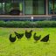 Sada dekorativních kovových doplňků na zahradu Chickens