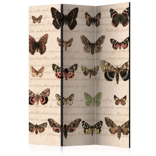 Paraván Retro Style: Butterflies Dekorhome - ROZMĚR: 135x172 cm (3-dílný)