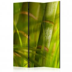 Paraván - bamboo - nature zen [Room Dividers]