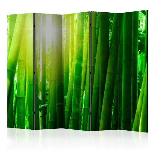 Paraván Sun and bamboo Dekorhome - ROZMĚR: 225x172 cm (5-dílný)