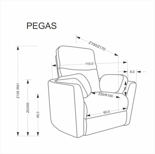 Elektrické polohovací křeslo PEGAS