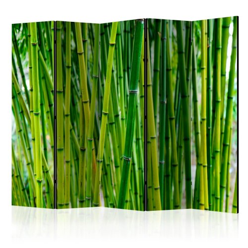 Paraván Bamboo Forest Dekorhome - ROZMER: 225x172 cm (5-dielny)