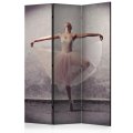 Paraván - Classical dance - poetry without words [Room Dividers]
