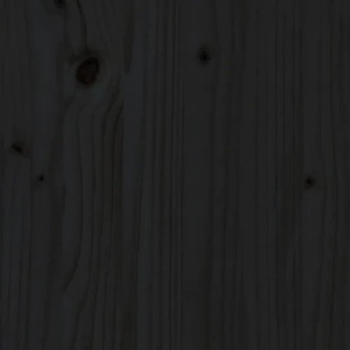 Zahradní box černý 101 x 50,5 x 46,5 cm masivní borové dřevo