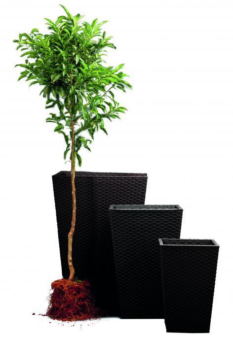 Květináč RATTAN PLANTER 53x53x73 cm