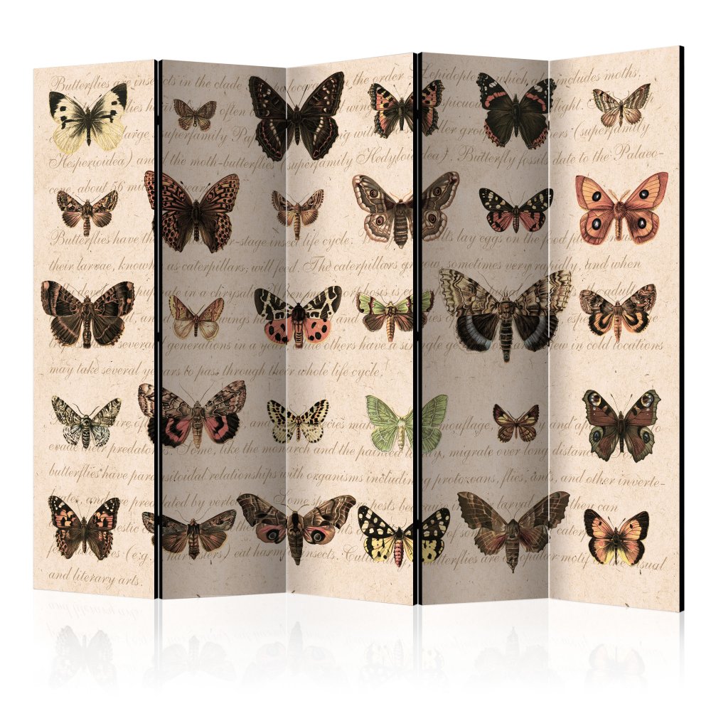 E-shop Paraván Retro Style: Butterflies  225x172 cm (5-dílný),Paraván Retro Style: Butterflies  225x172 cm (5-dílný)