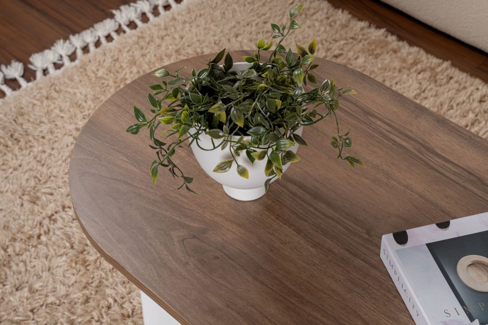Konferenční stolek Sable - Walnut, White (obrázek 5)