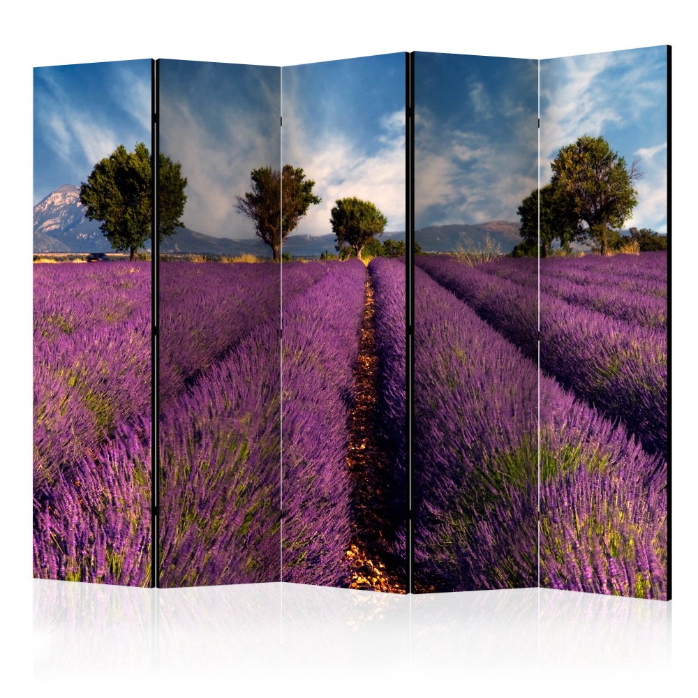 Paraván Lavender field in Provence, France Dekorhome 225x172 cm (5-dílný),Paraván Lavender field in 