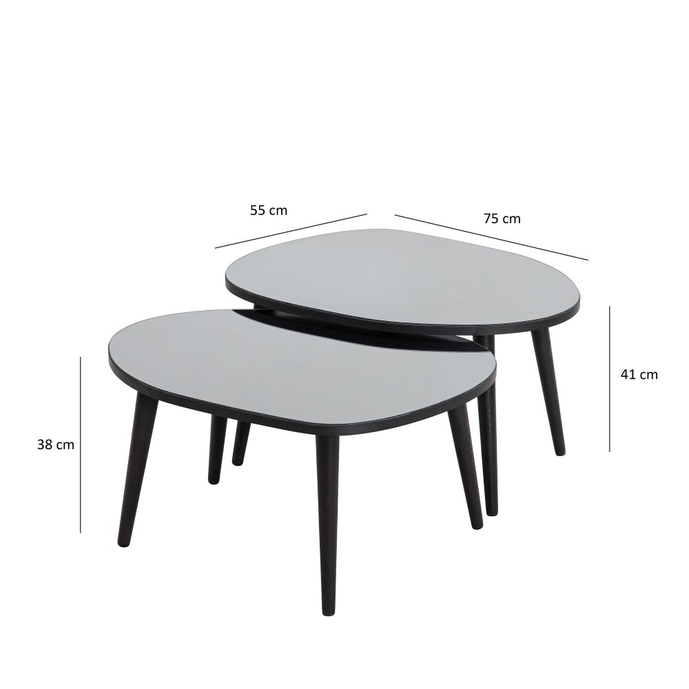 Sada odkládacích stolků (2 kusy) Gusto Set- Black, Fume (obrázek 3)
