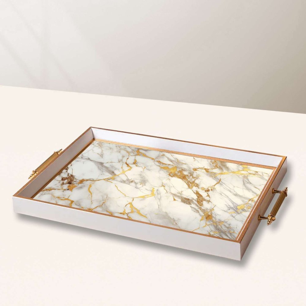 Tray TPB10042 (obrázek 2)