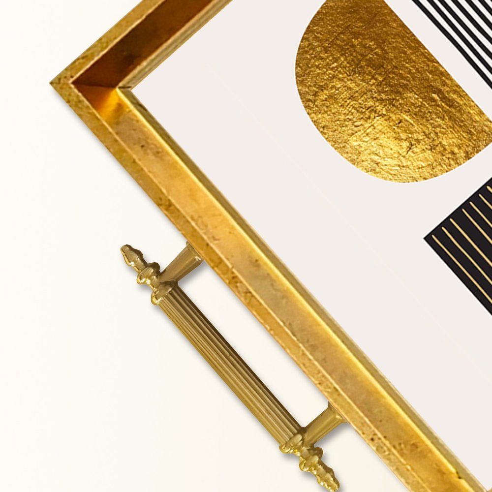 Tray TPEA9877 (obrázek 2)