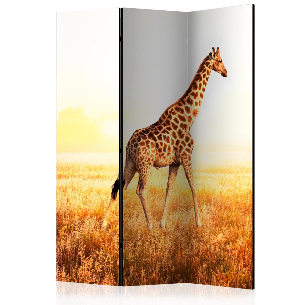 Paraván giraffe - walk Dekorhome 135x172 cm (3-dílný),Paraván giraffe - walk Dekorhome 135x172 cm (3