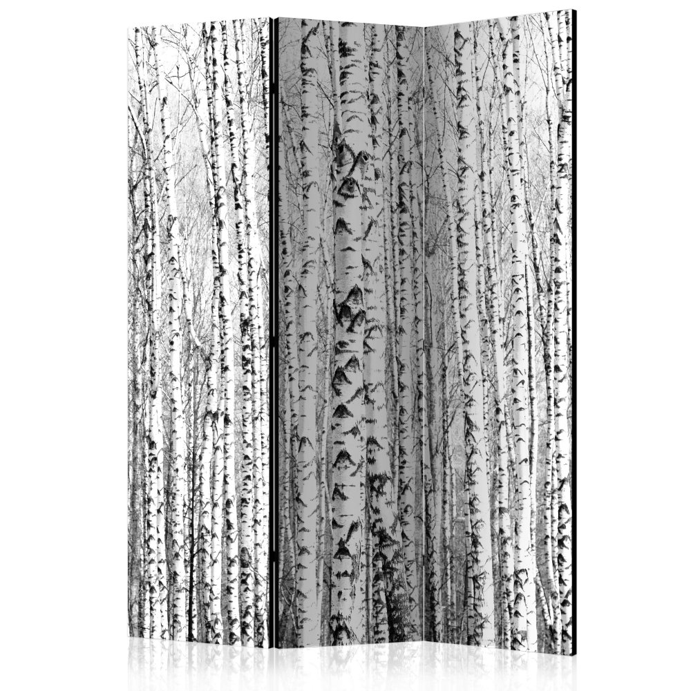 Paraván Birch forest Dekorhome 135x172 cm (3-dílný),Paraván Birch forest Dekorhome 135x172 cm (3-díl