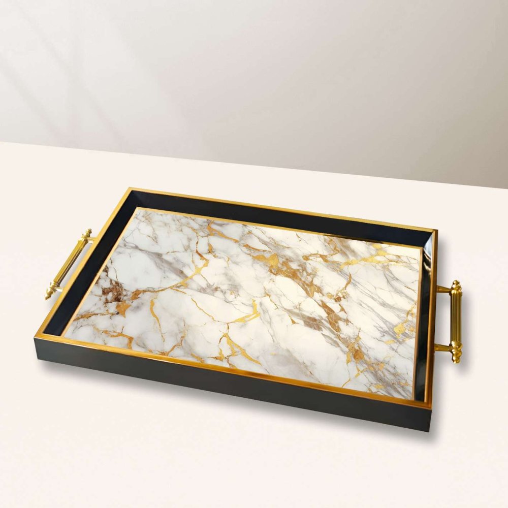 Tray TPA10042 (obrázek 2)