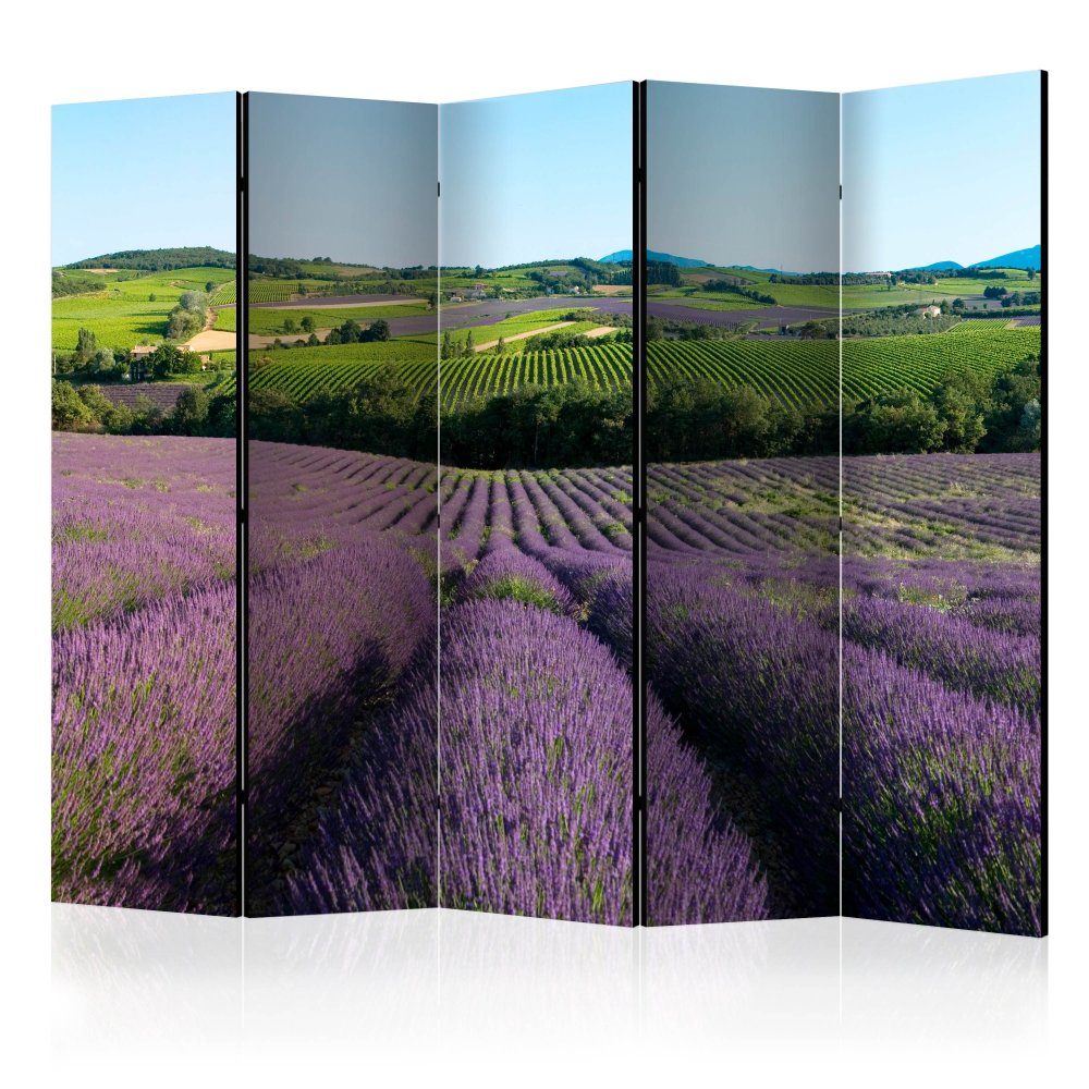 Paraván Lavender fields Dekorhome 225x172 cm (5-dílný)