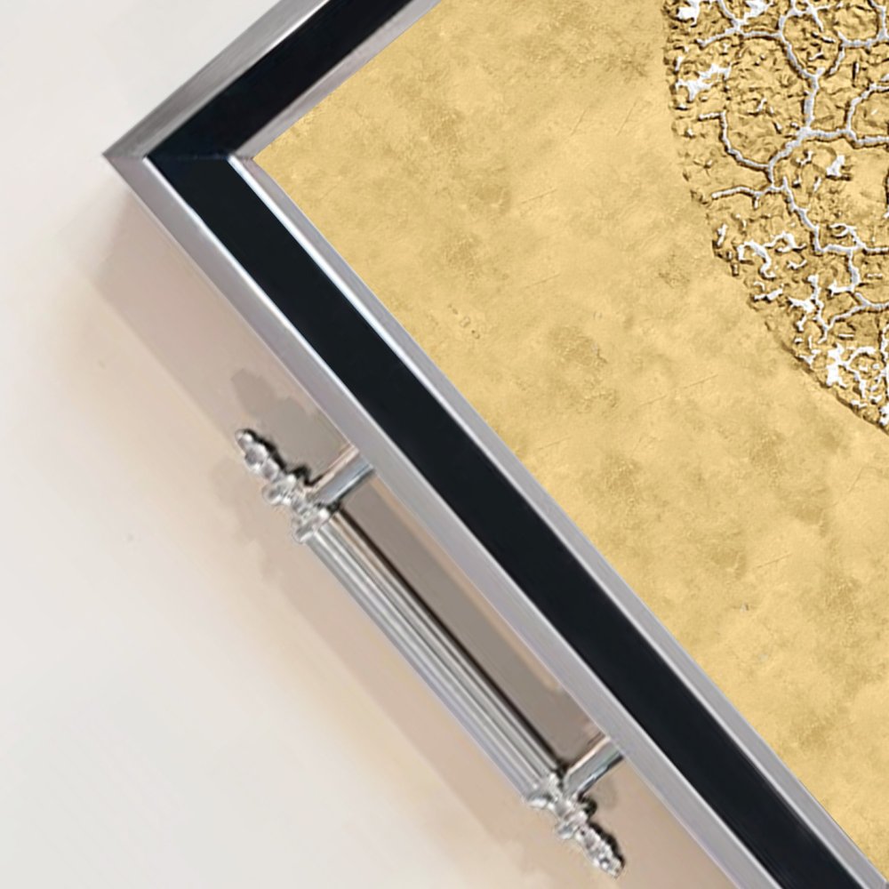 Tray TPG9842 (obrázek 2)