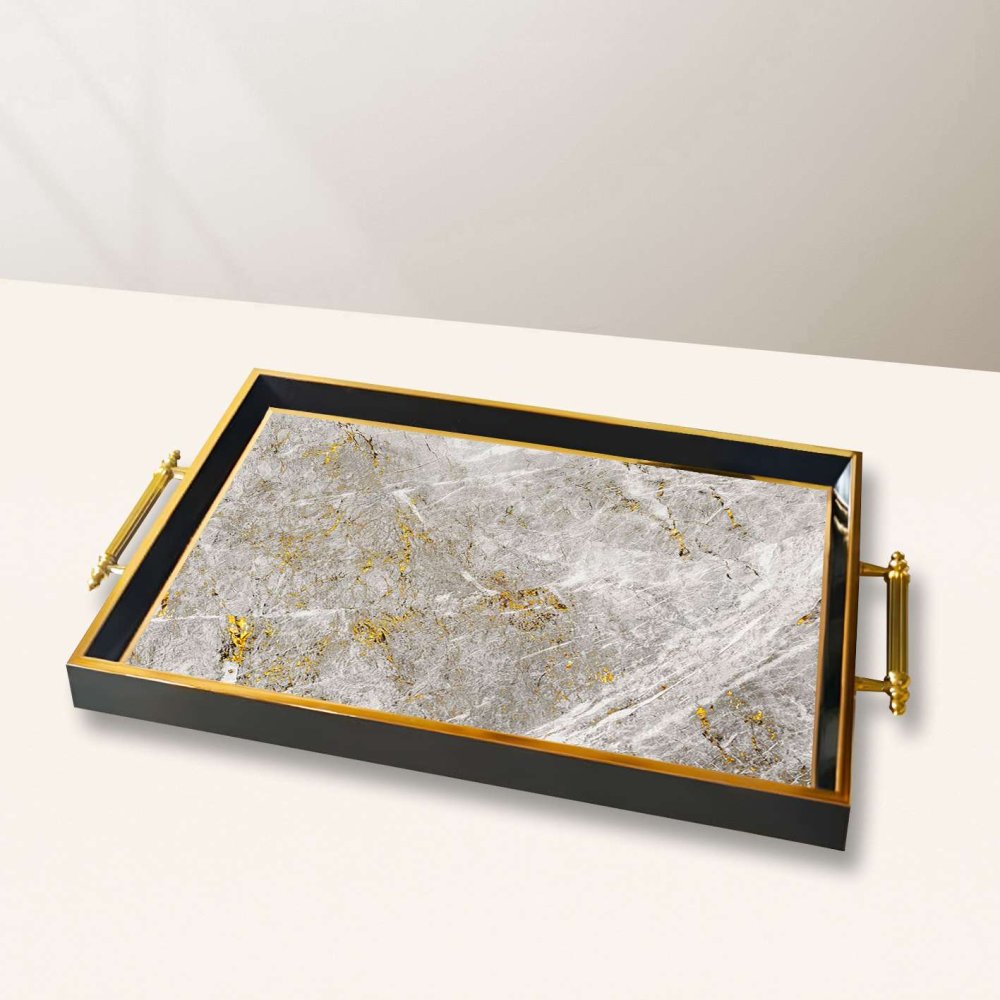 Tray TPA10001 (obrázek 2)