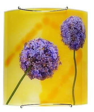 Nástenná lampa 1X60W E27 viacfarebná CESNAK