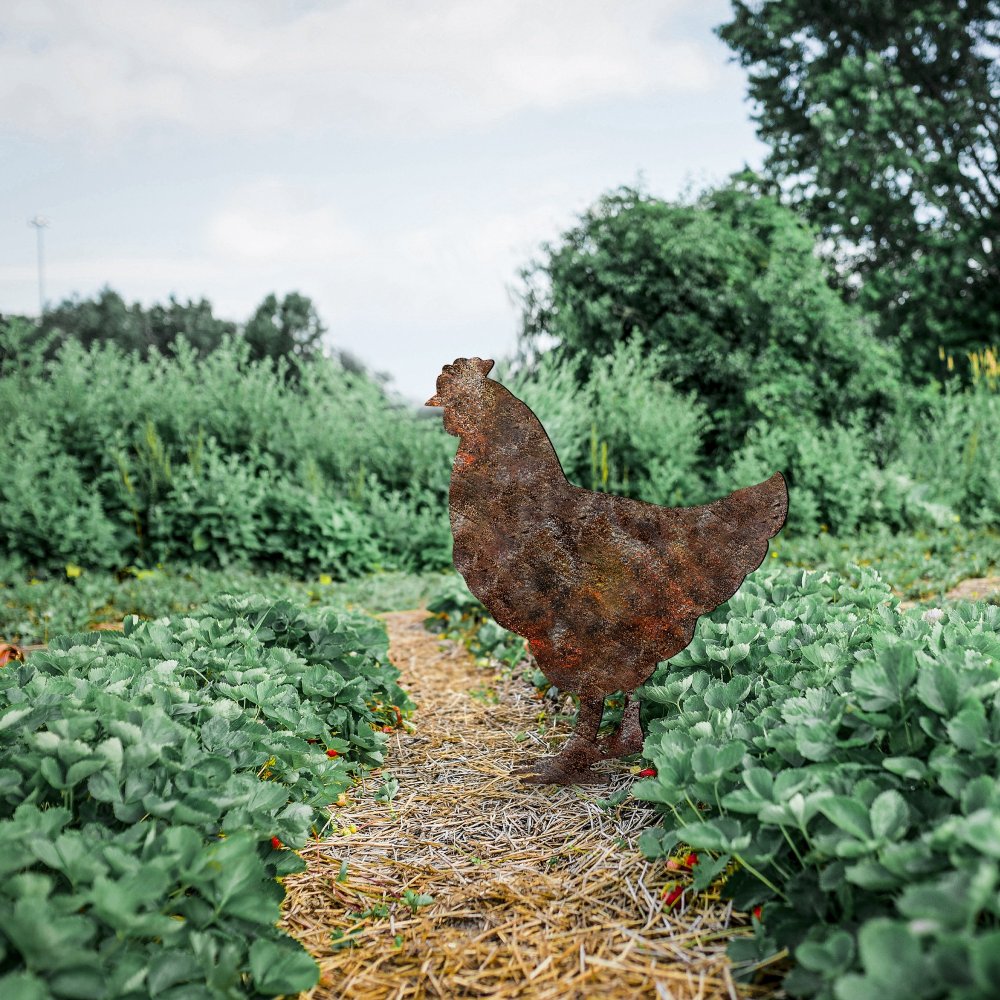 Zahradní dekorace Chicken -A 01 (obrázek 5)
