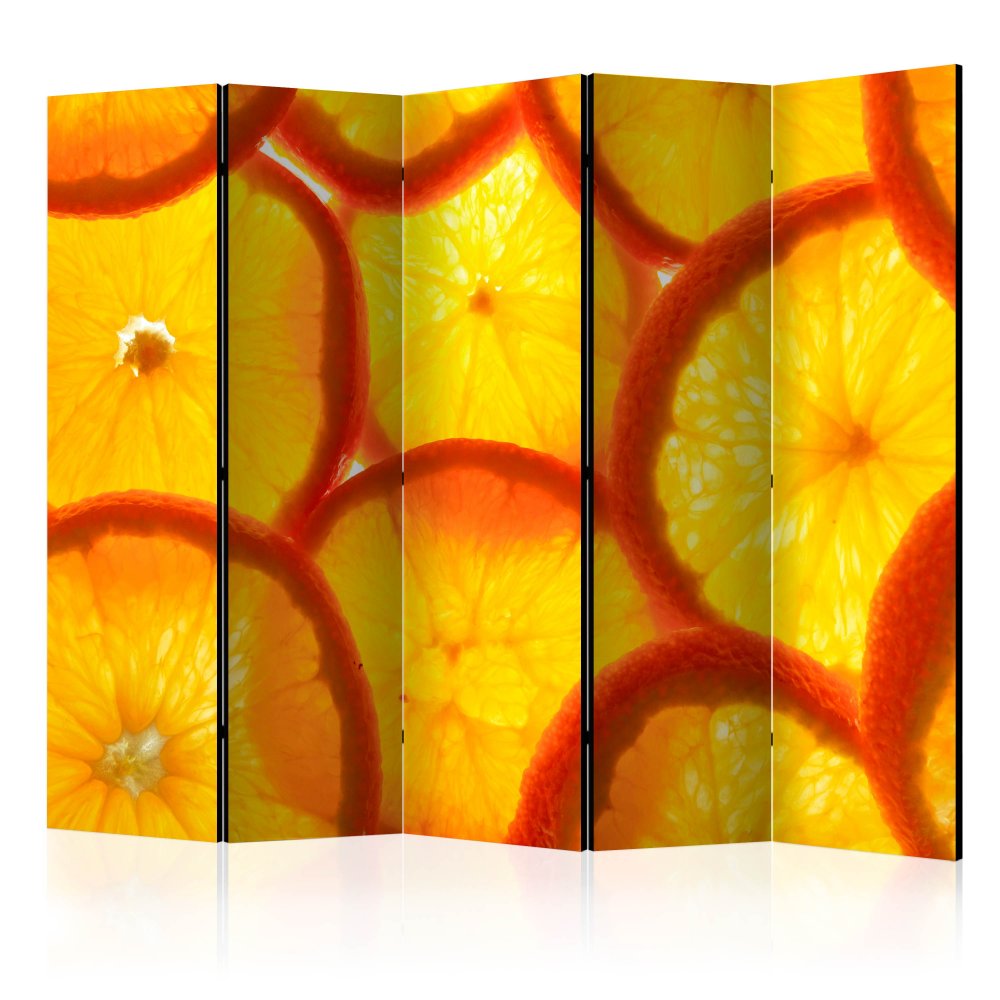 Paraván Orange slices Dekorhome 225x172 cm (5-dílný),Paraván Orange slices Dekorhome 225x172 cm (5-d