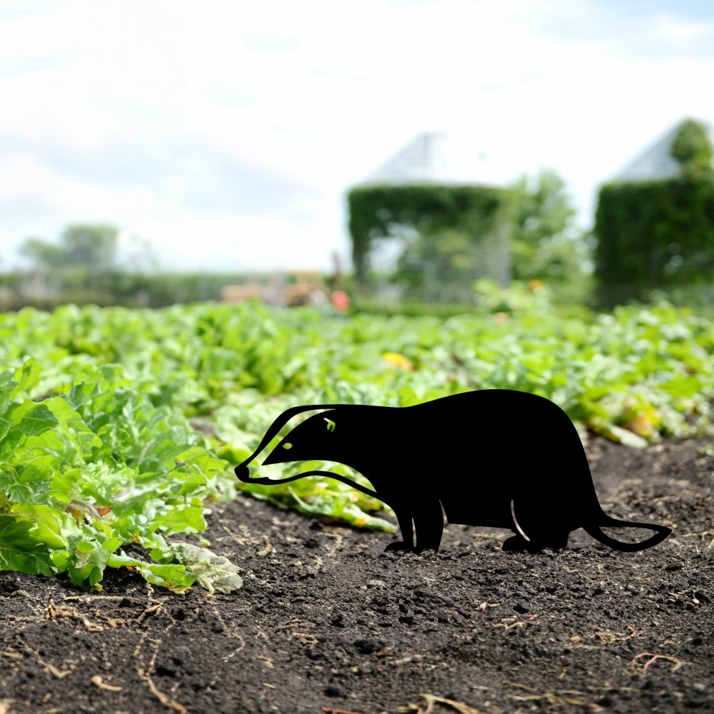 Záhradná dekorácia Badger 01