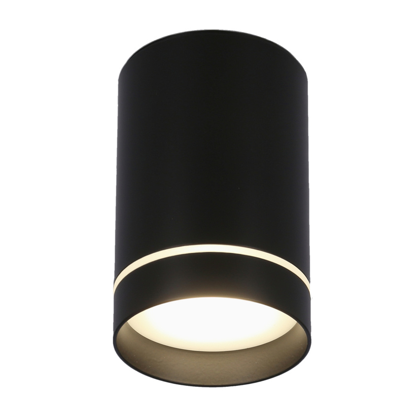 Stropné svetlo TUBA Candellux