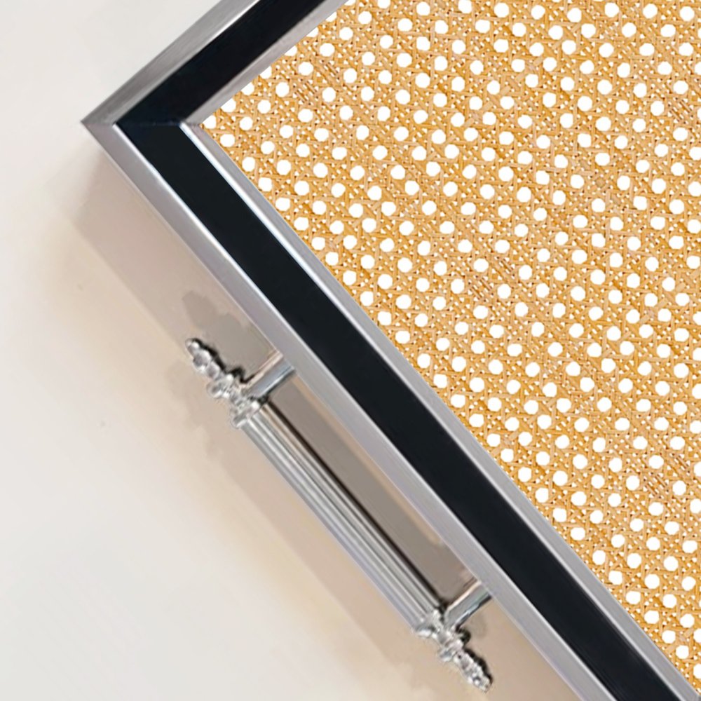 Tray TPG9895 (obrázek 3)