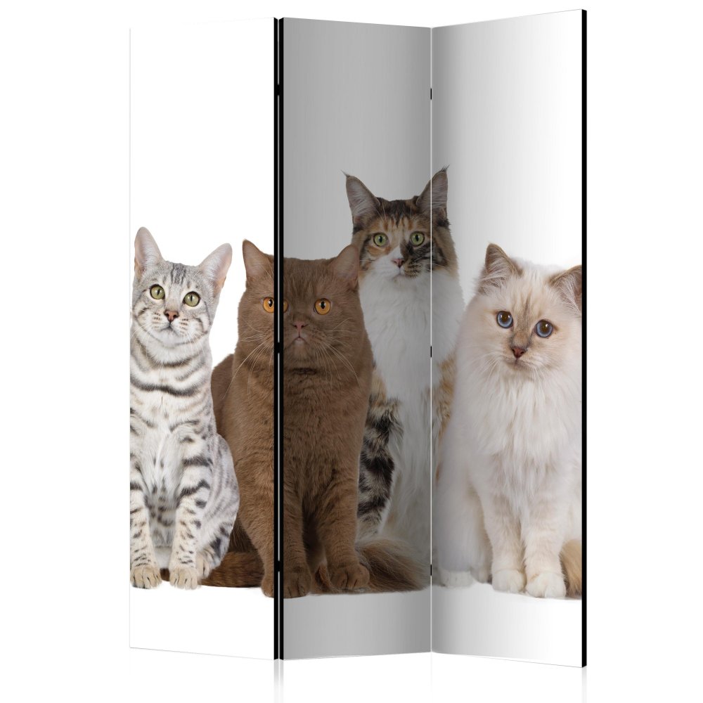 Paraván Sweet Cats Dekorhome 135x172 cm (3-dílný),Paraván Sweet Cats Dekorhome 135x172 cm (3-dílný)