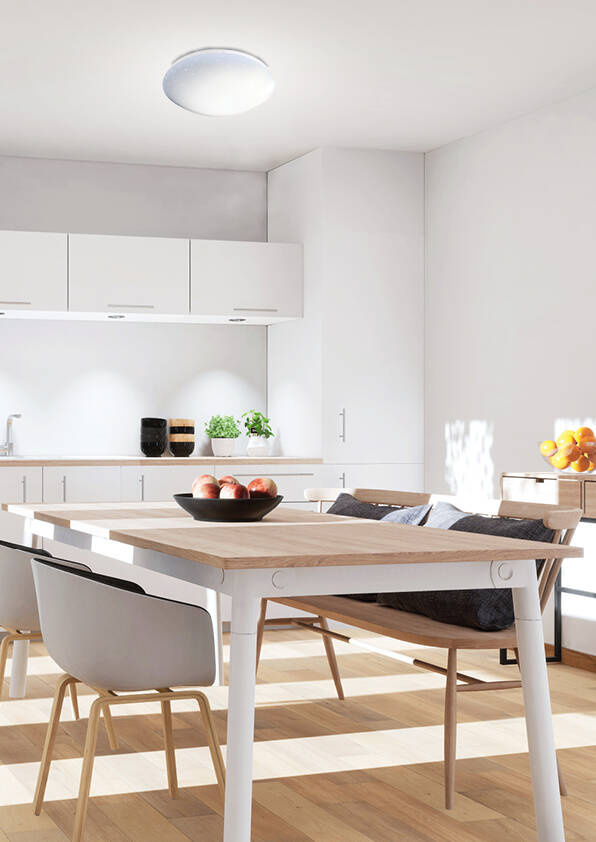 Stropné svietidlo Sky Stropné LED svietidlo 4000K