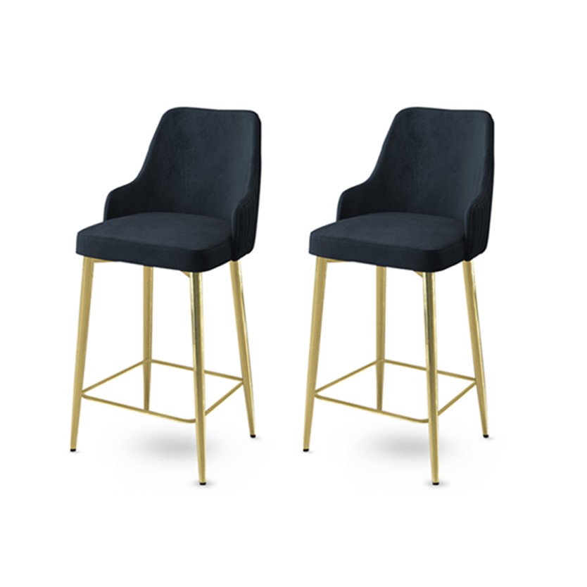Bar Stool Set (2 Pieces) Enox - Anthracite, Gold